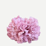 Flor Clavel Doble F2C14