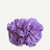 Flor Clavel Doble F2C10