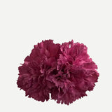 Flor Clavel Doble F2C07