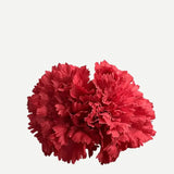 Flor Clavel Doble F2C04