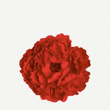 Flor Peonía Mediana 17T-44
