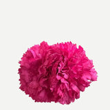 Flor Clavel Doble F2C09