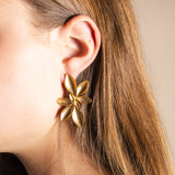 Pendientes PEN102 Alizee