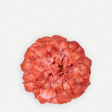 Flor sintra FN21-The Nook Store