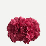 Flor Clavel Doble F2C05