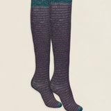 Calcetin purpurina caña alta PCAR07 rayas Viola - Antracita