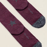 Calcetin purpurina Estrella caña larga PEL01 Vino - Gris