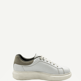 CottonWhite1
