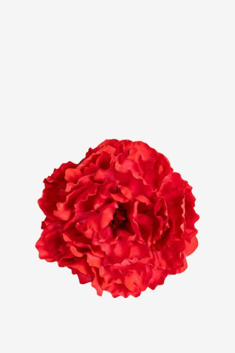 EDICIÓN FLORES WEB (1)