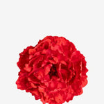 EDICIÓN FLORES WEB (1)