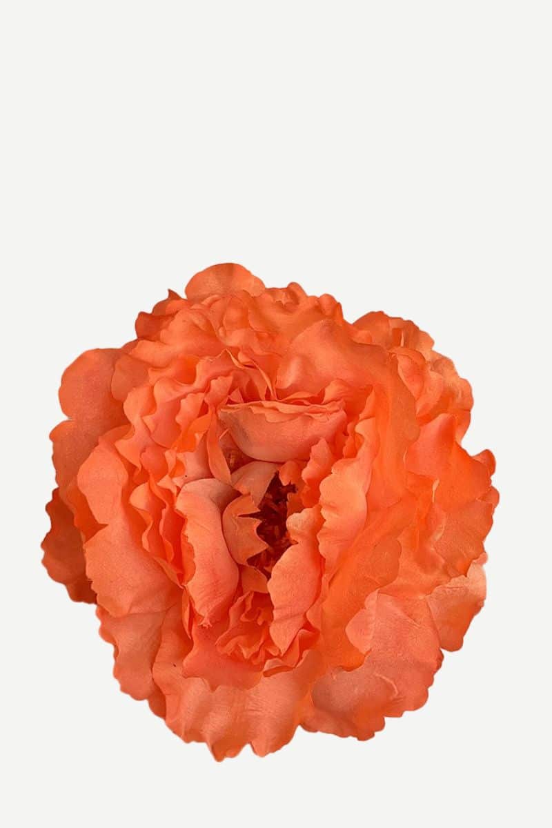 EDICIÓN FLORES WEB (11)