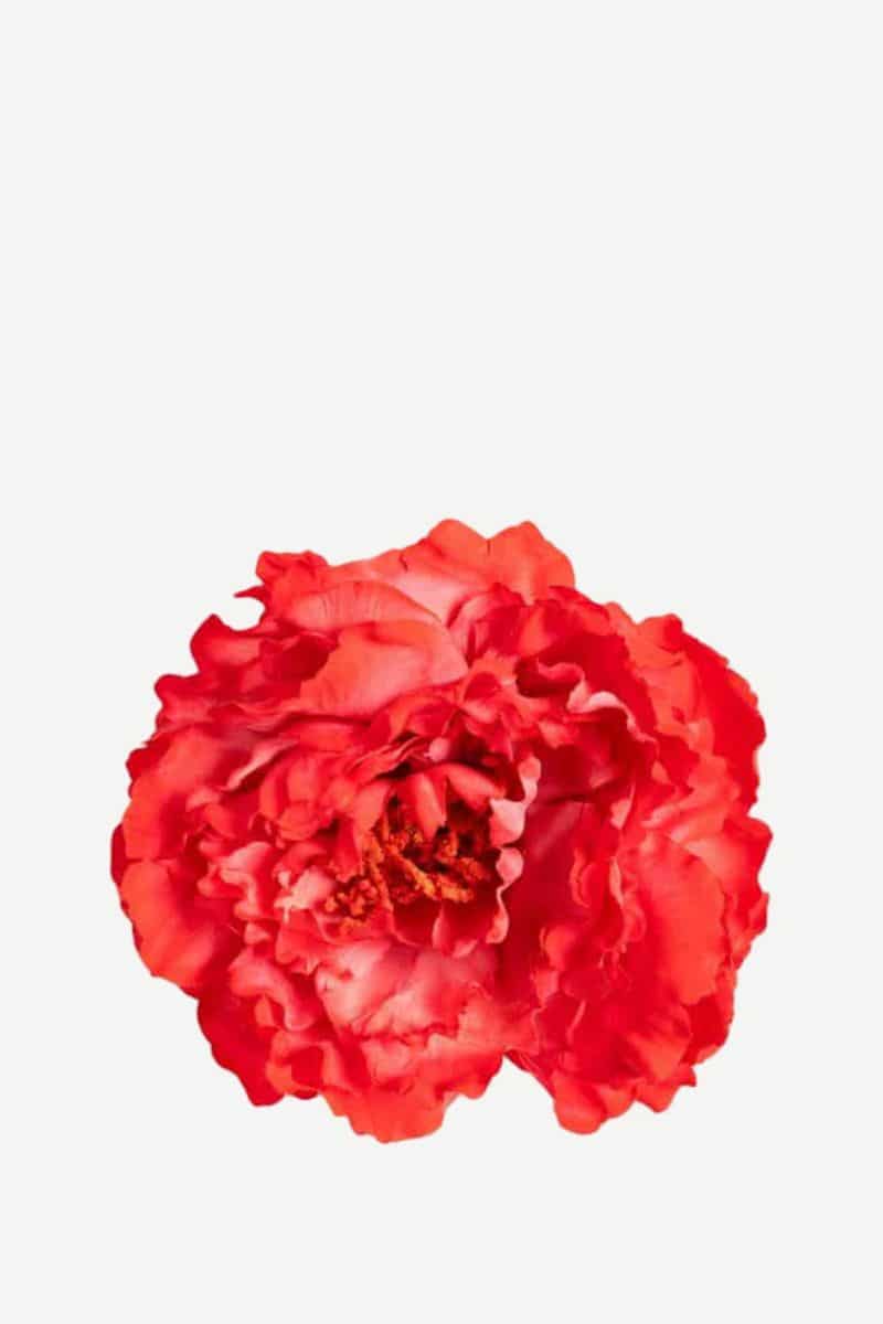 EDICIÓN FLORES WEB (2)