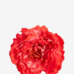 EDICIÓN FLORES WEB (2)