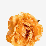EDICIÓN FLORES WEB (28)