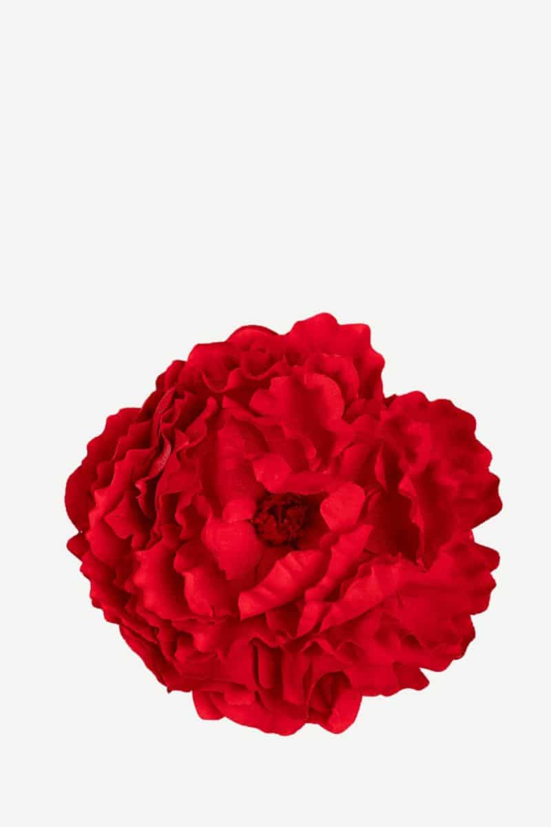 EDICIÓN FLORES WEB (3)