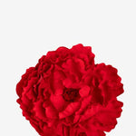 EDICIÓN FLORES WEB (3)