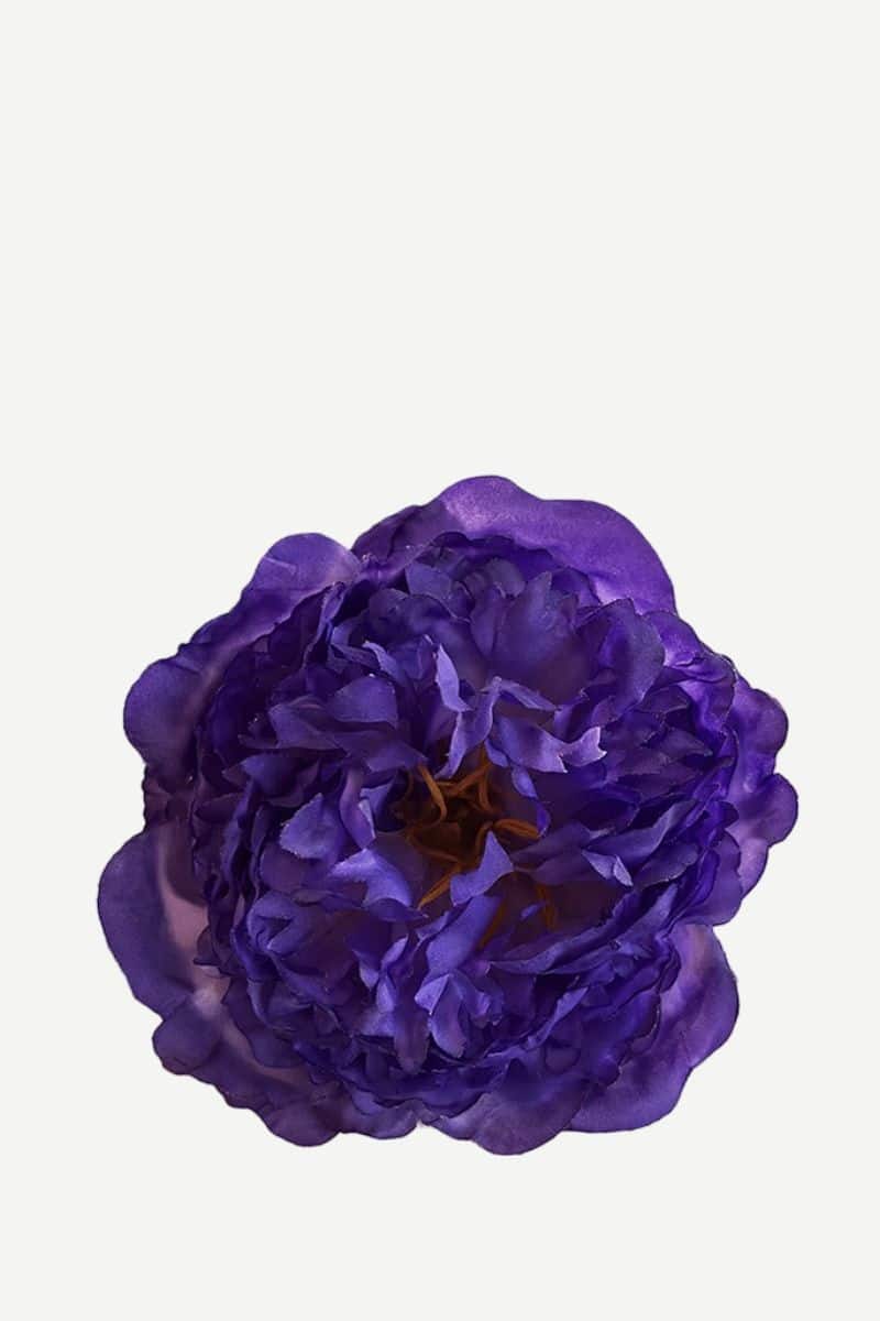 EDICIÓN FLORES WEB (31)