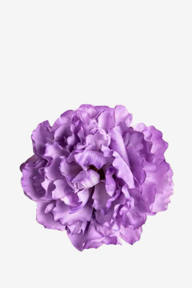 EDICIÓN FLORES WEB (32)