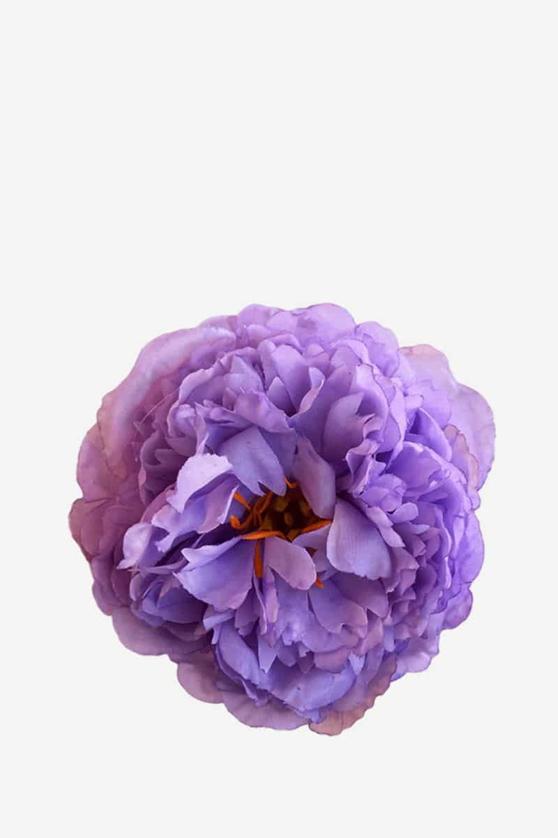 EDICIÓN FLORES WEB (33)