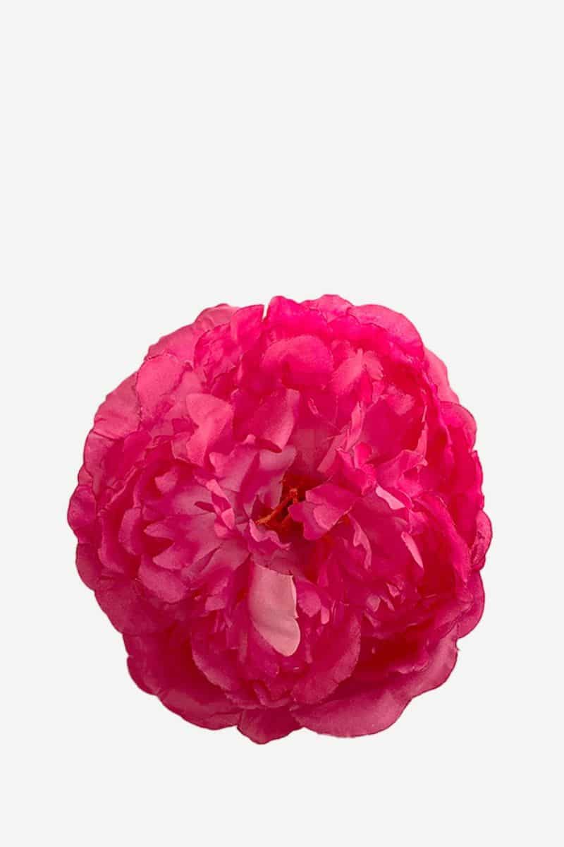 EDICIÓN FLORES WEB (36)
