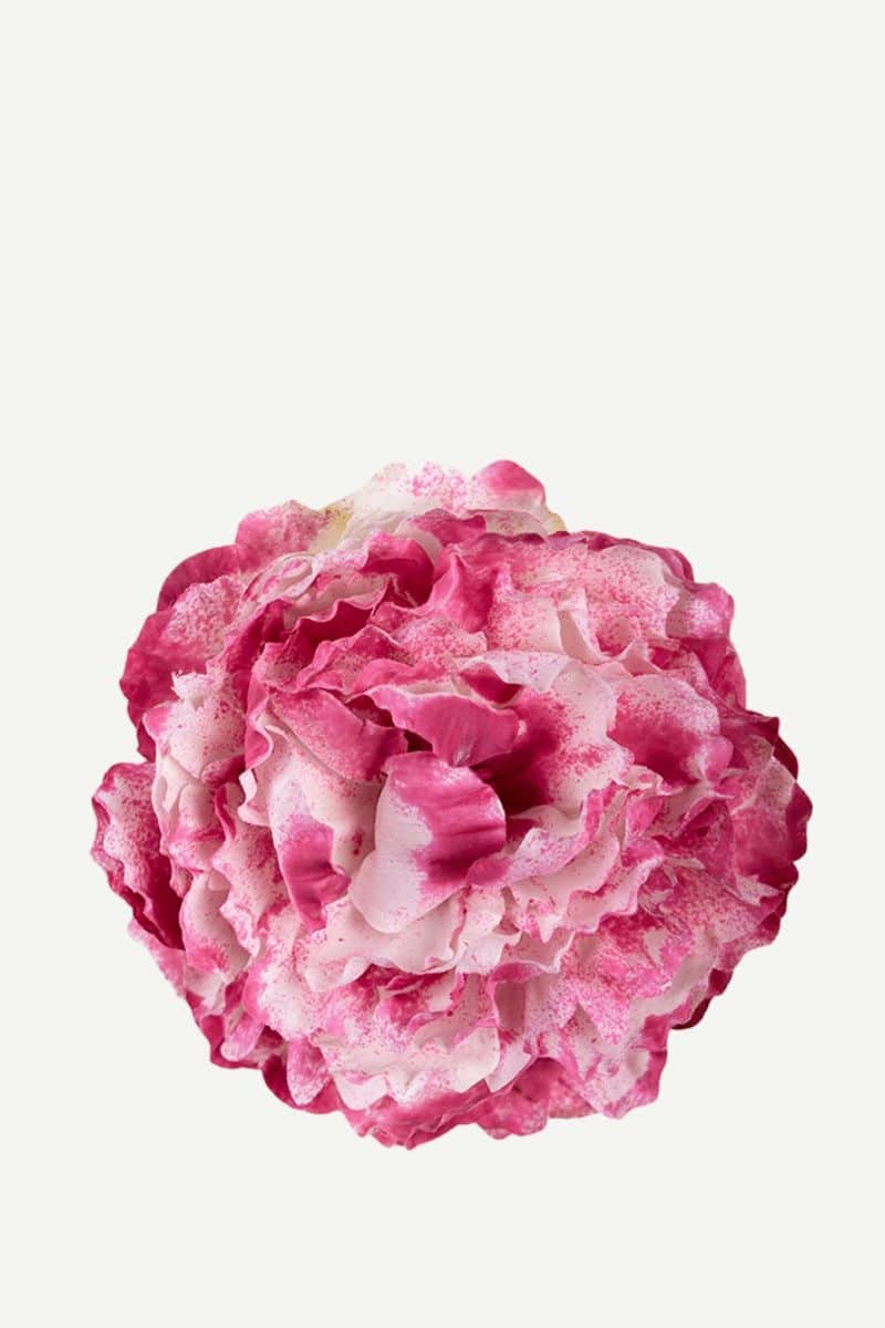 EDICIÓN FLORES WEB (38)