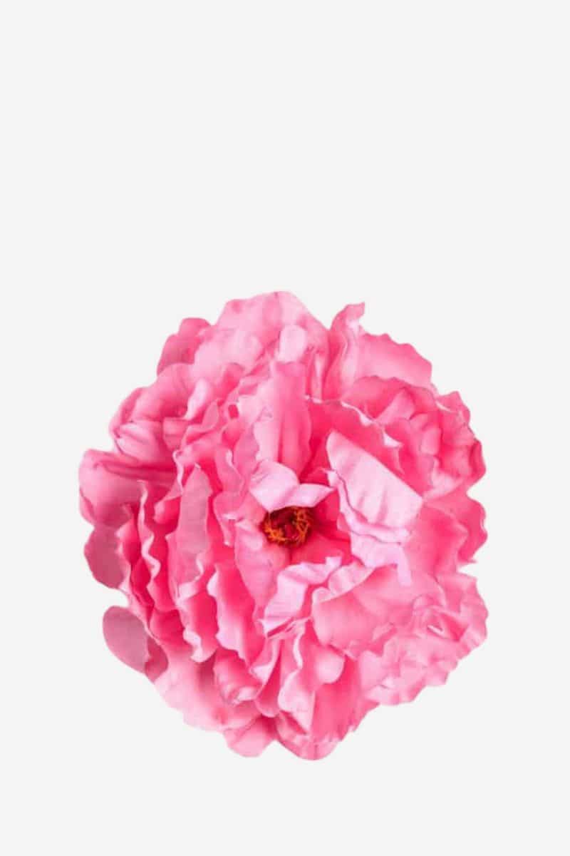 EDICIÓN FLORES WEB (40)