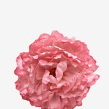 EDICIÓN FLORES WEB (41)