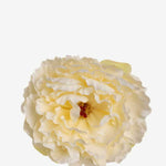 EDICIÓN FLORES WEB (42)