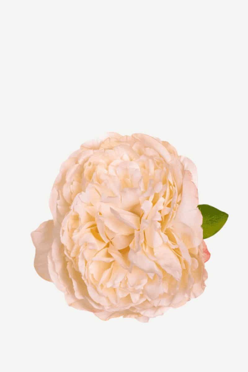 EDICIÓN FLORES WEB (43)