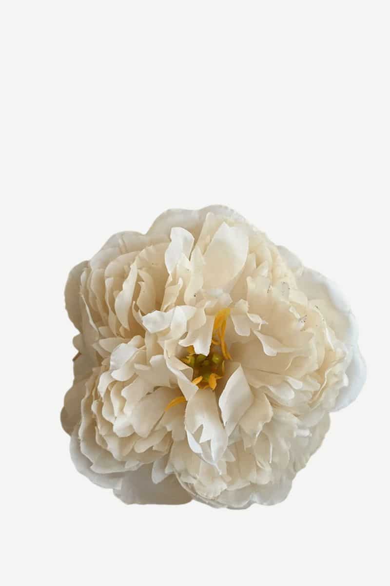 EDICIÓN FLORES WEB (44)
