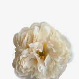 EDICIÓN FLORES WEB (44)