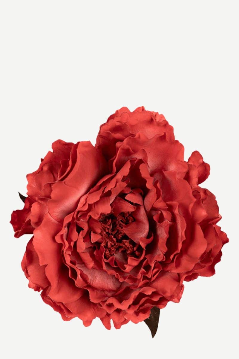 EDICIÓN FLORES WEB (8)
