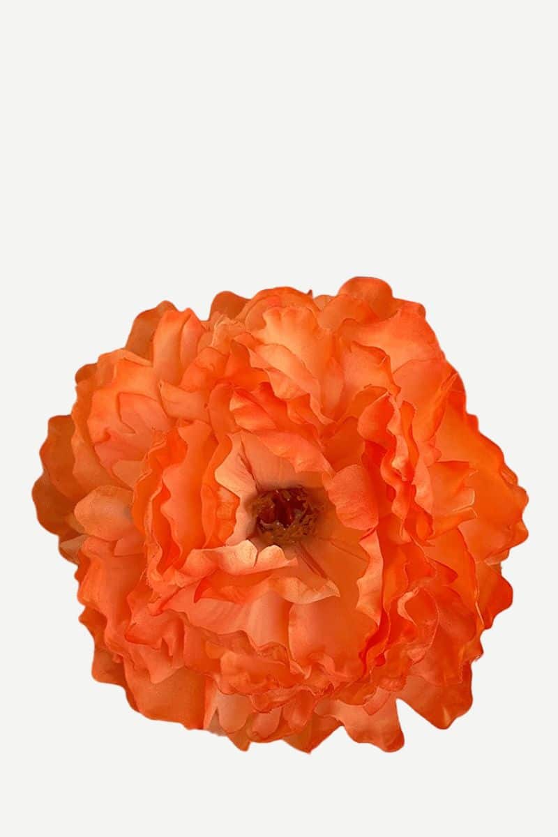 EDICIÓN FLORES WEB (9)