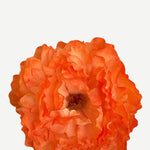 EDICIÓN FLORES WEB (9)