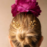 EDICION FOTOS WEB (12)