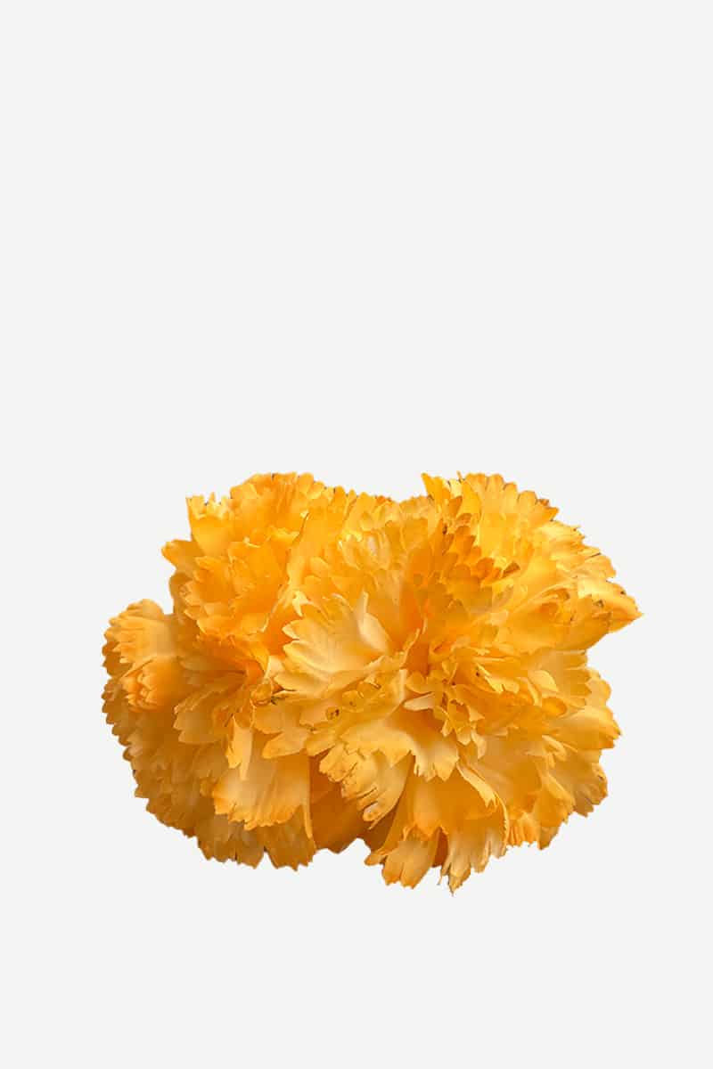 F2C02