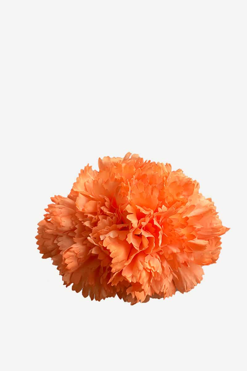 F2C03