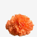 F2C03