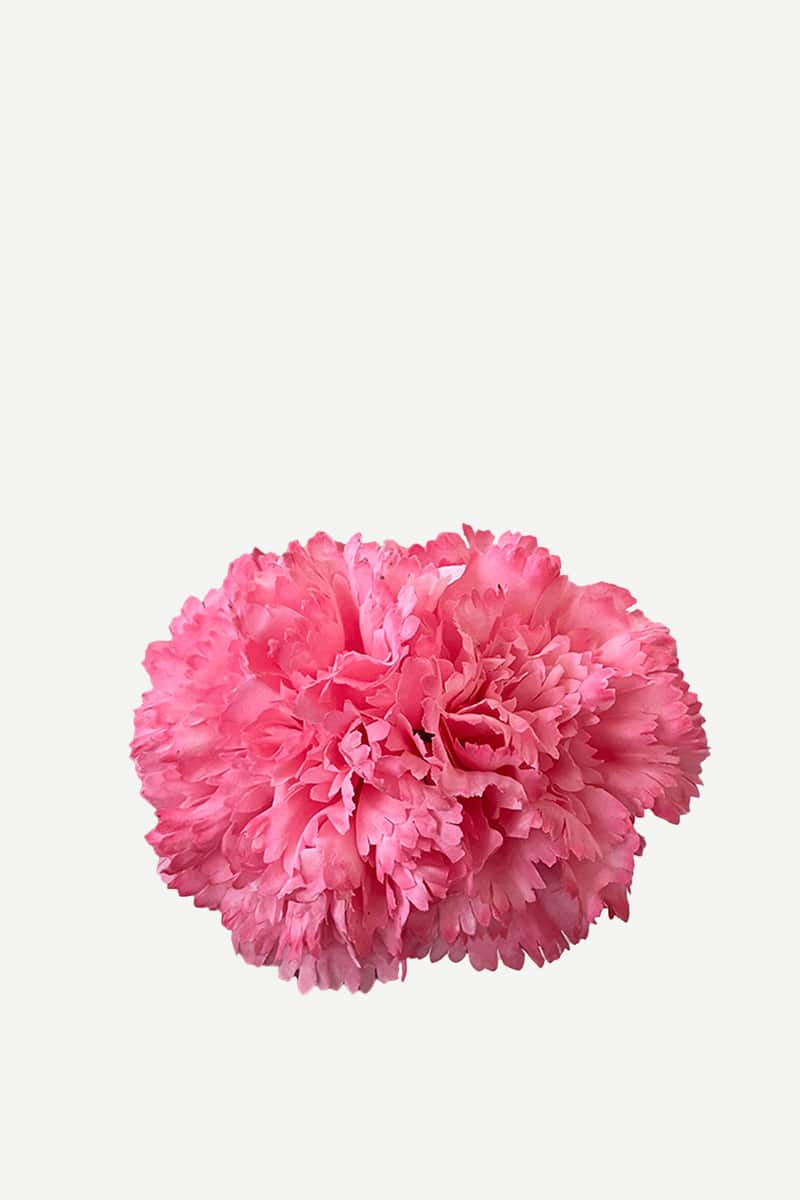 F2C08