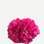 F2C09