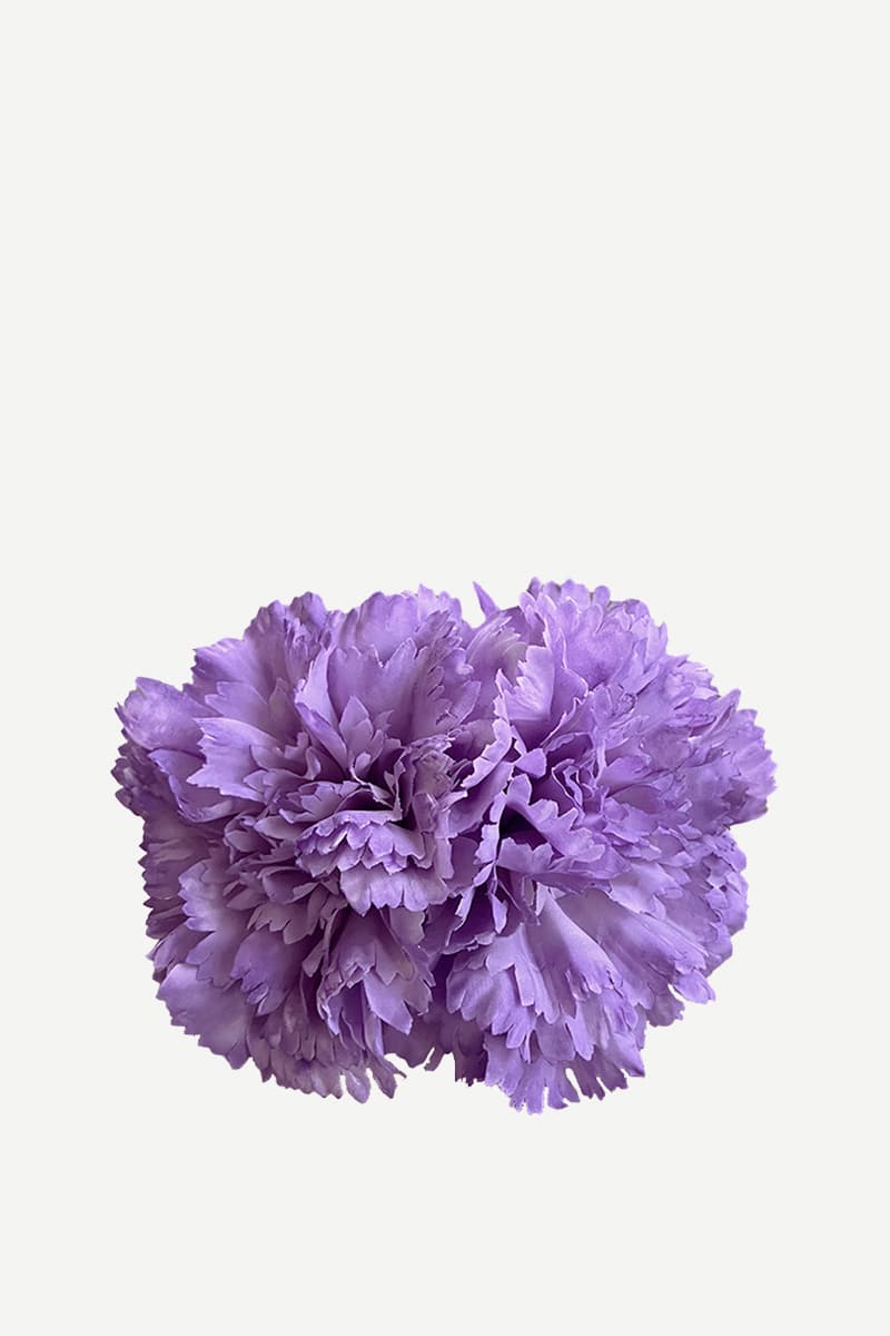 F2C10