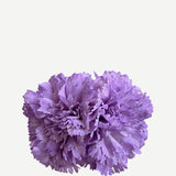 F2C10