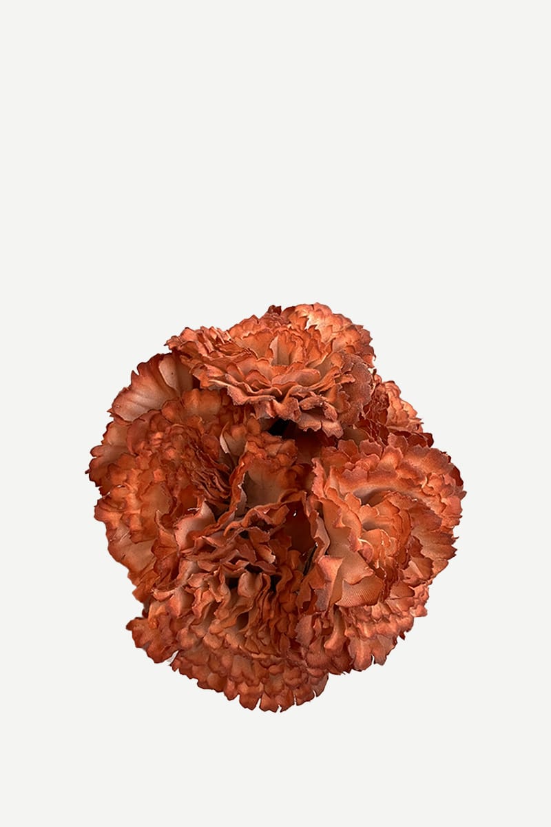 FC24