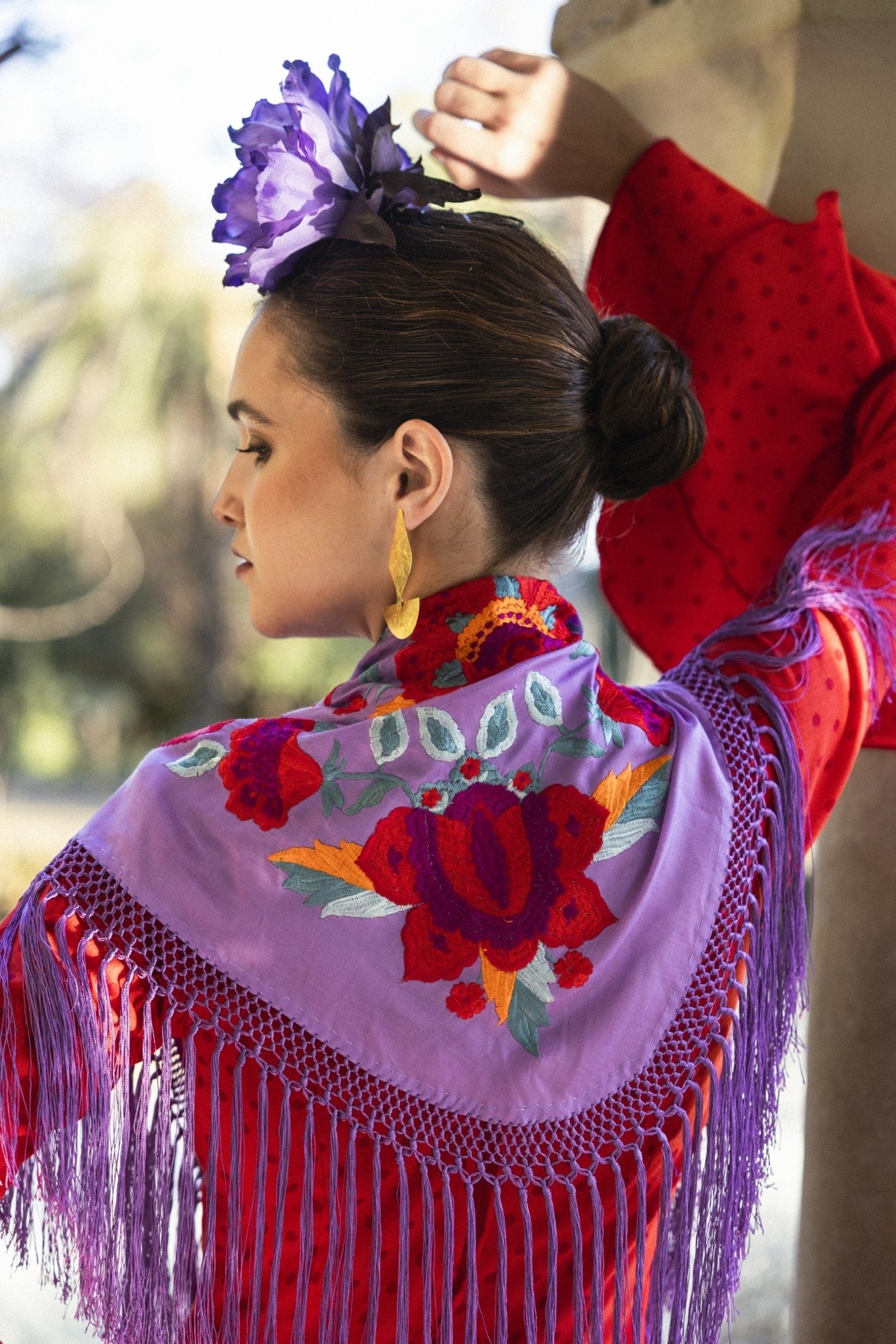 FLAMENCAEXT_179