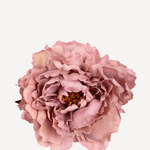 FLOR 17 EDITADA