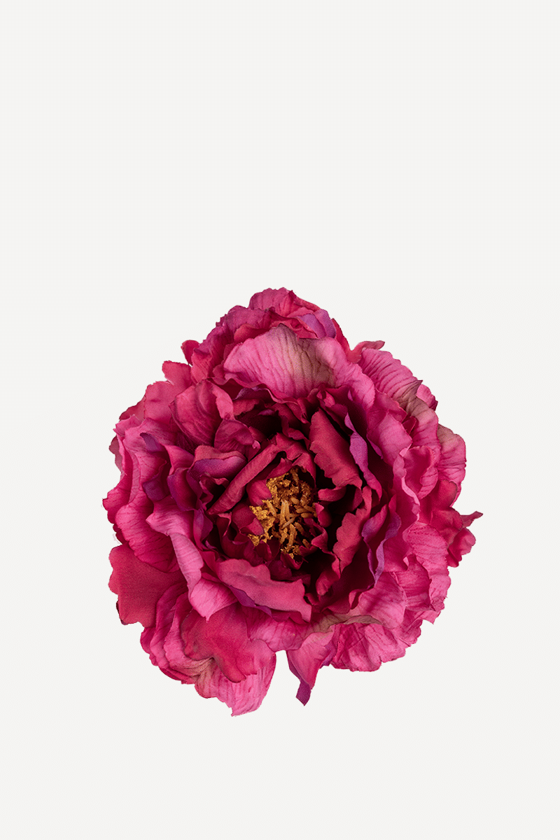 FLOR 2 EDITADO