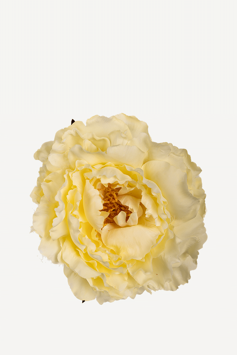 FLOR 4 EDITADO