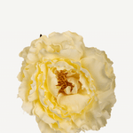 FLOR 4 EDITADO