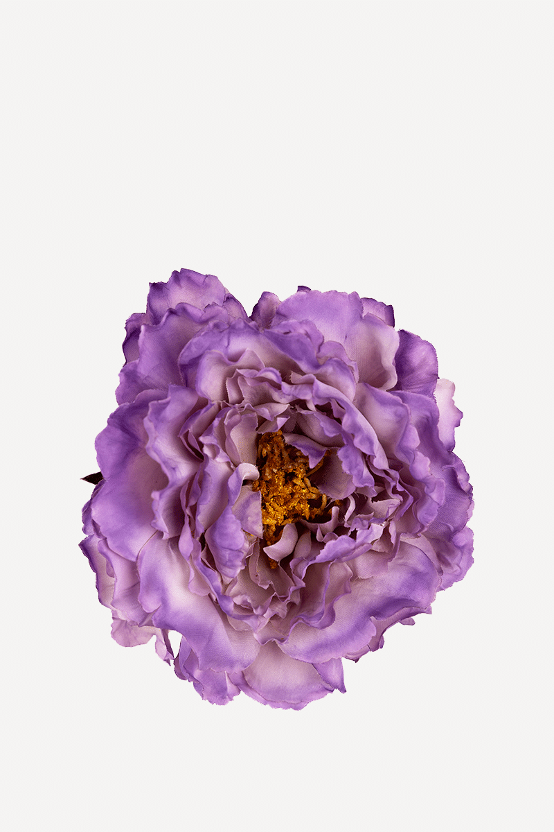 FLOR 9EDITADO