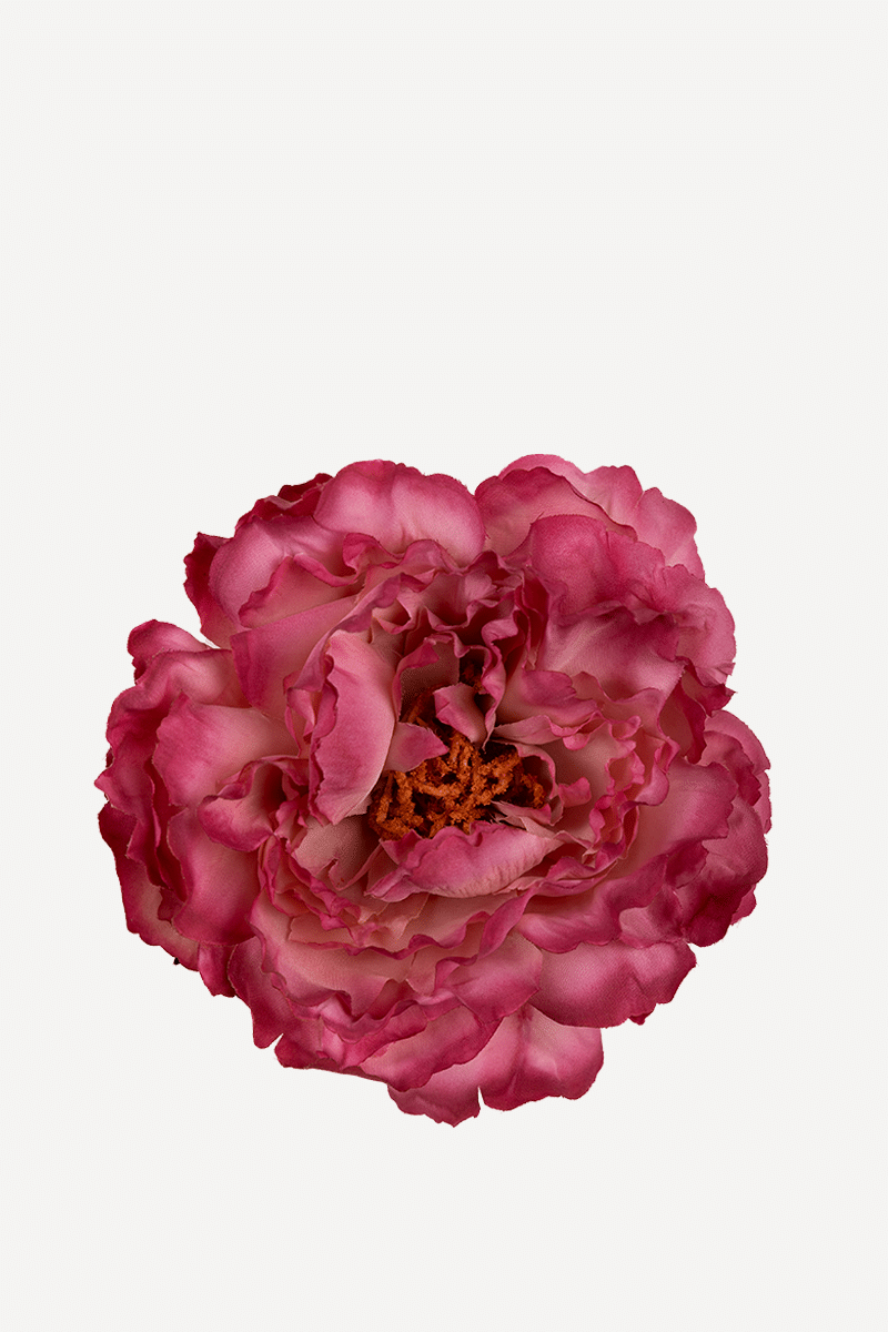 FLOR EDITADO 14
